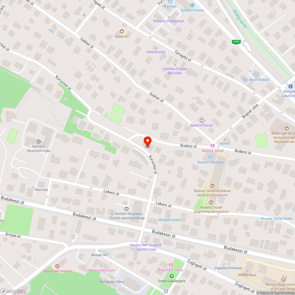 Elgázolt cica bejelentés helye