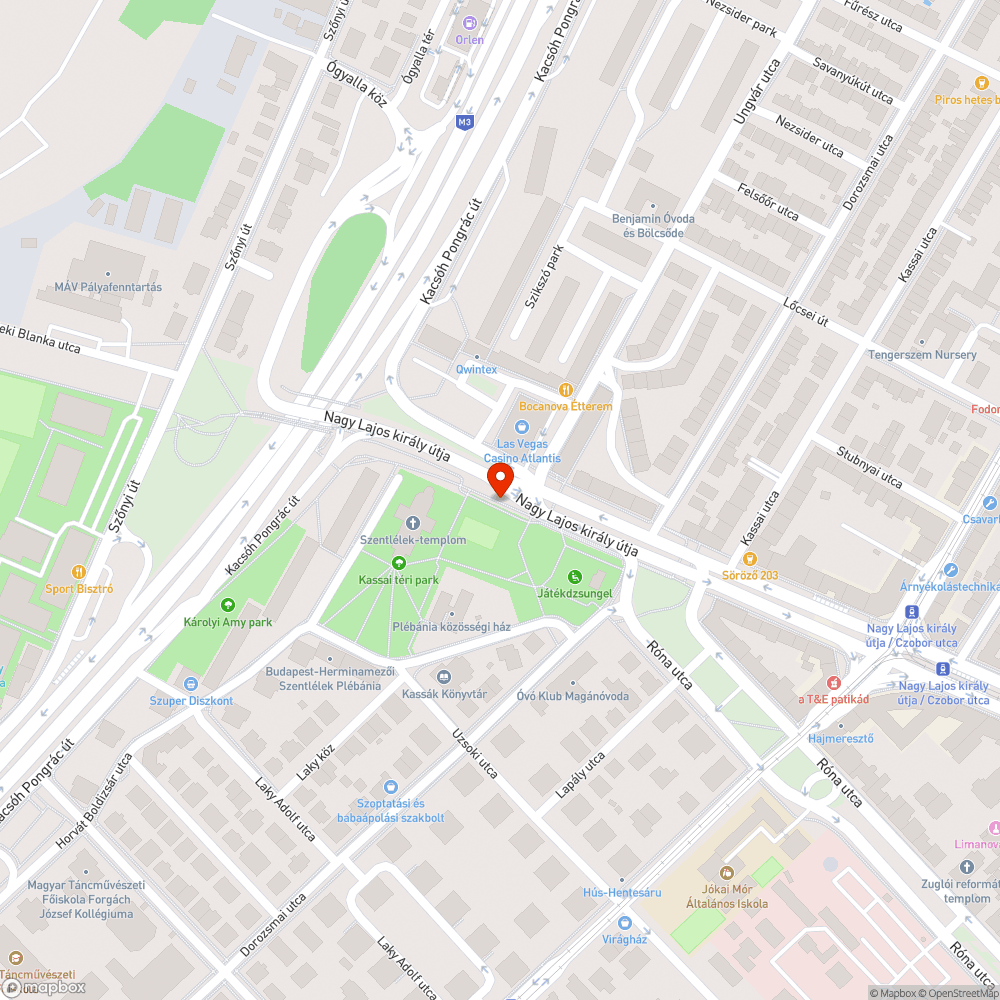 Sebesült fa, száraz ágak balesetveszélyes magasságban. bejelentés helye