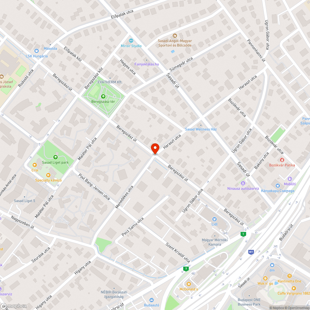 Járdát lényegében teljesen elfoglaló bokor bejelentés helye