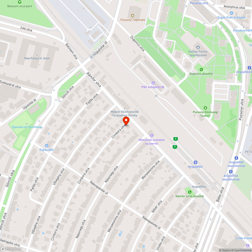 Kiszáradt facsemete bejelentés helye