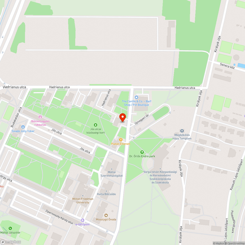 Gyakori a zöldön és járdán parkolás bejelentés helye