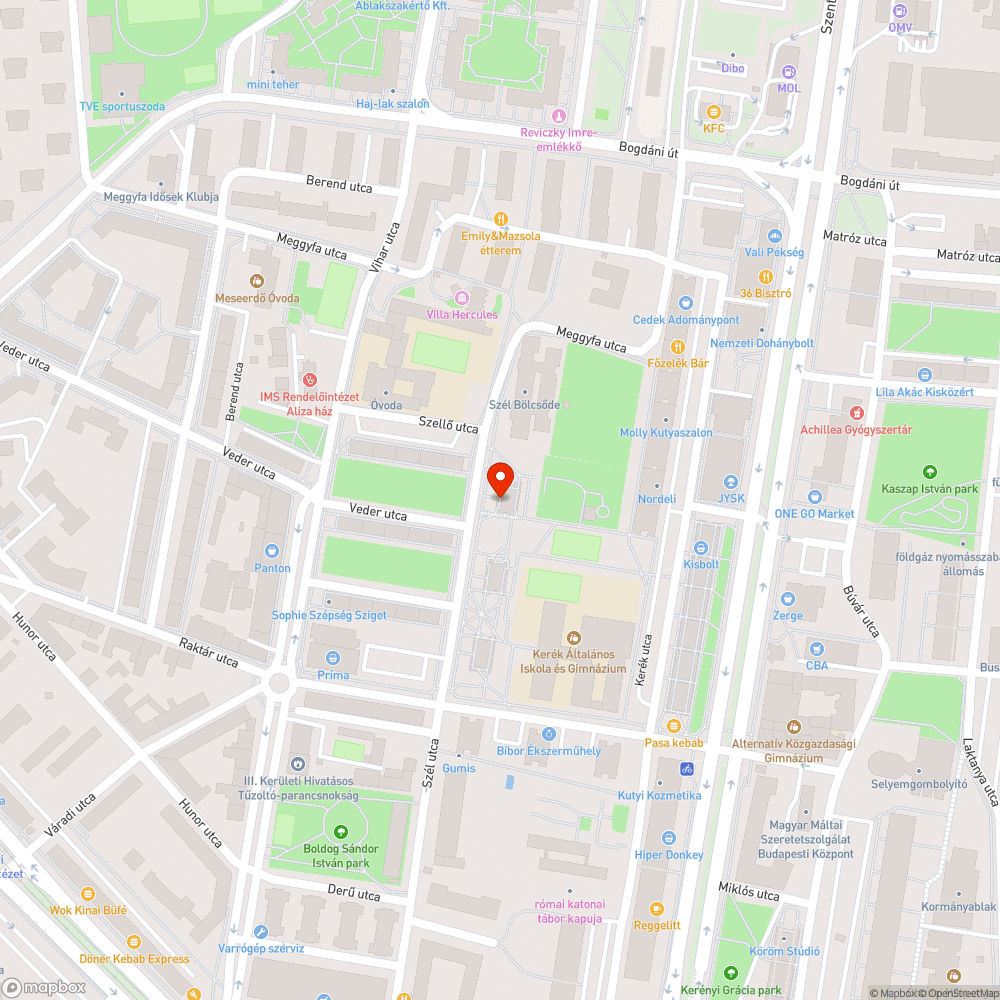 Kutyagumi kukából az utcára bejelentés helye