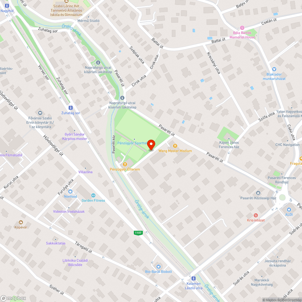 Koszos utca bejelentés helye