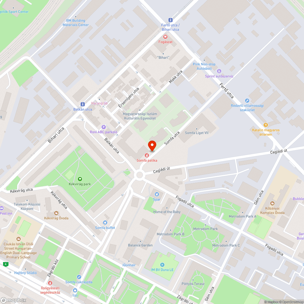 Parlagfű és szemét a Kőbányán a Somfa utcában bejelentés helye