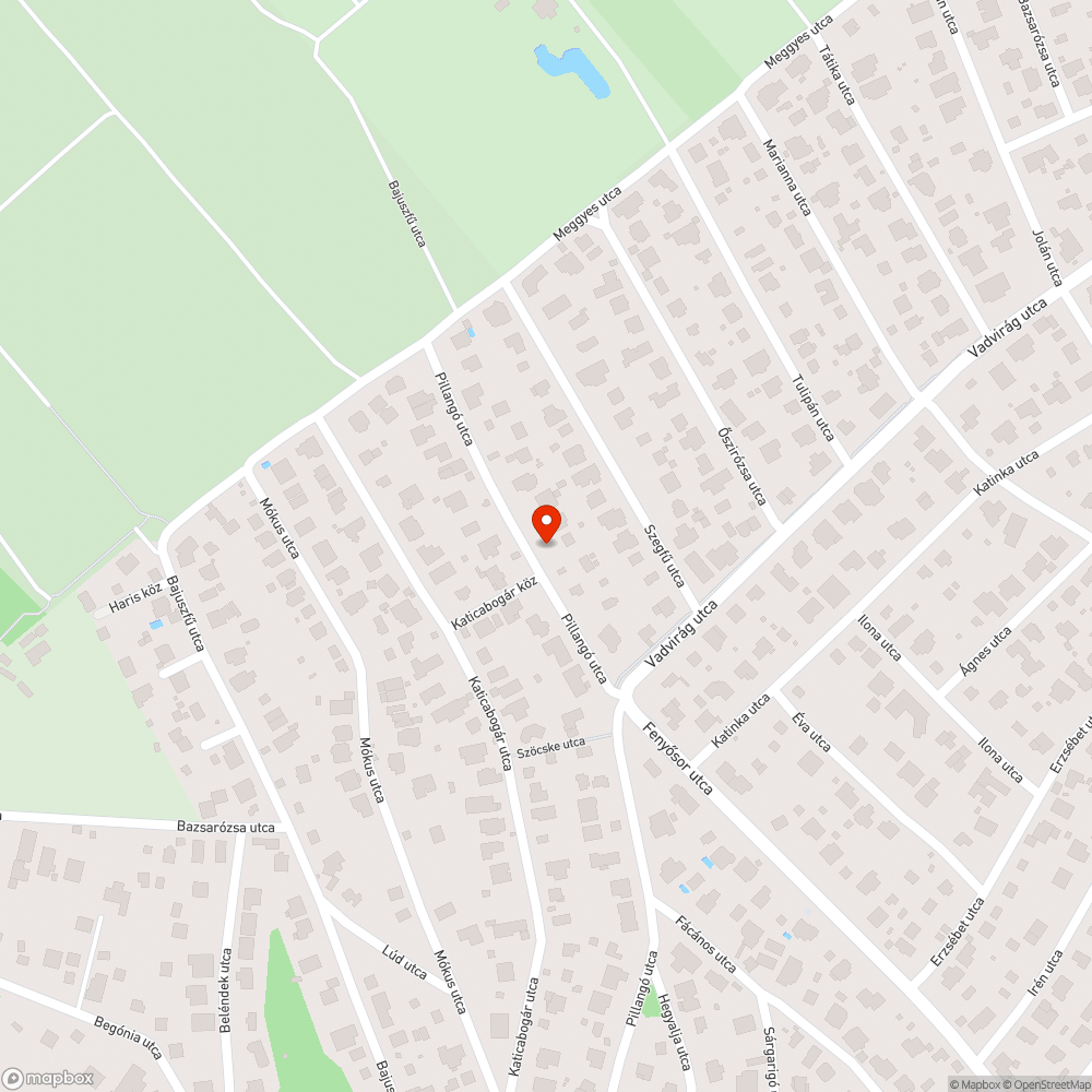 Kátyú a Pillangóban bejelentés helye