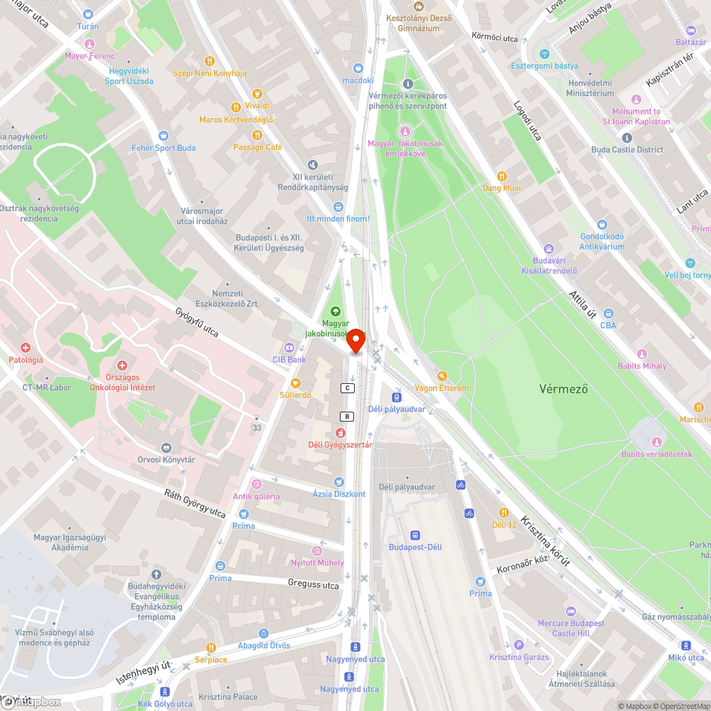 Nincs utastájékoztató a Délinél a villamosmegállóban bejelentés helye