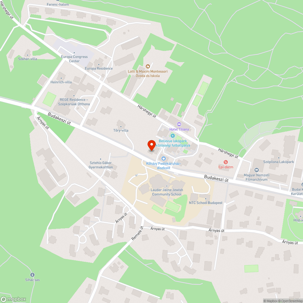 Veszélyes útszakasz! bejelentés helye