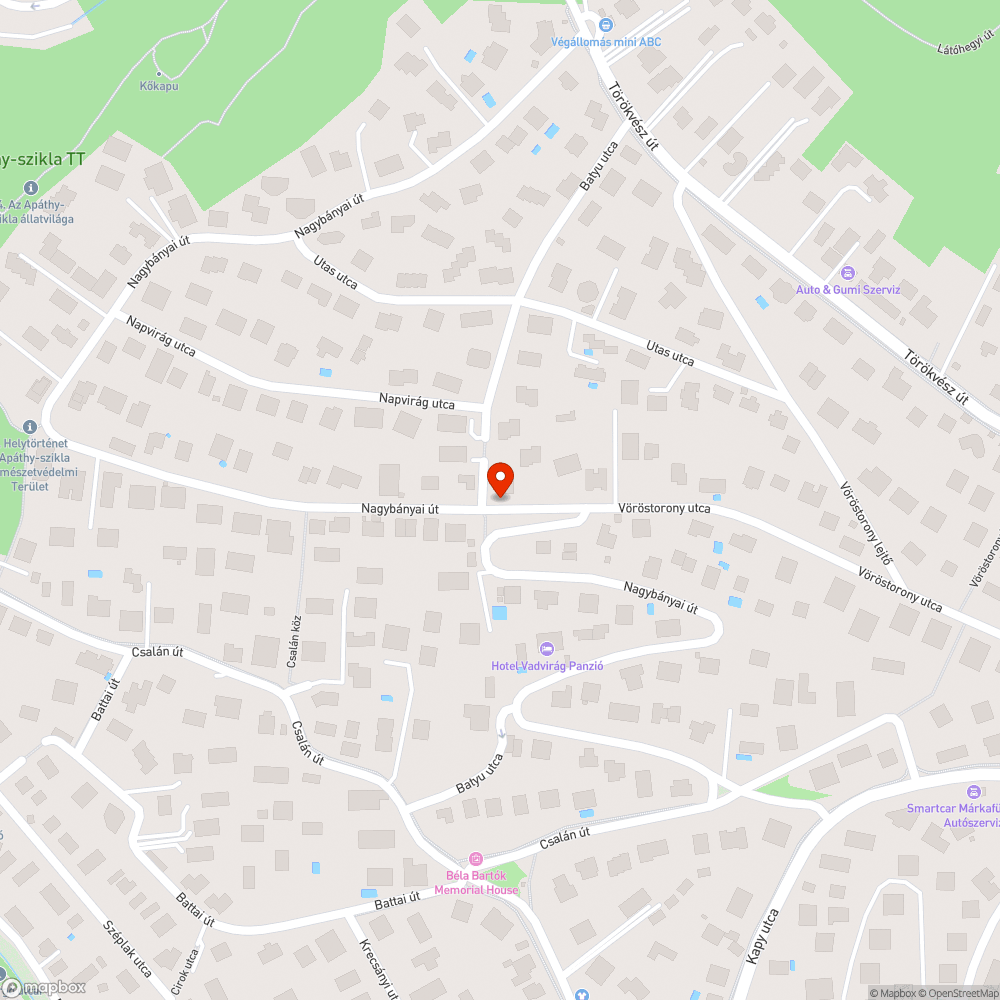 Roncs bejelentés helye