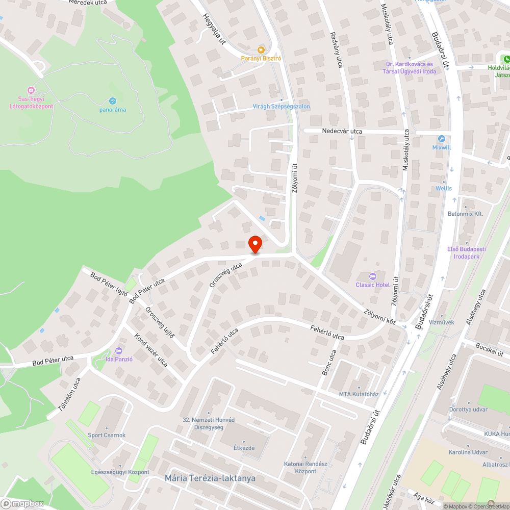 A leponyvázott jármű szabálytalanul (szabálytalan helyen) parkol bejelentés helye