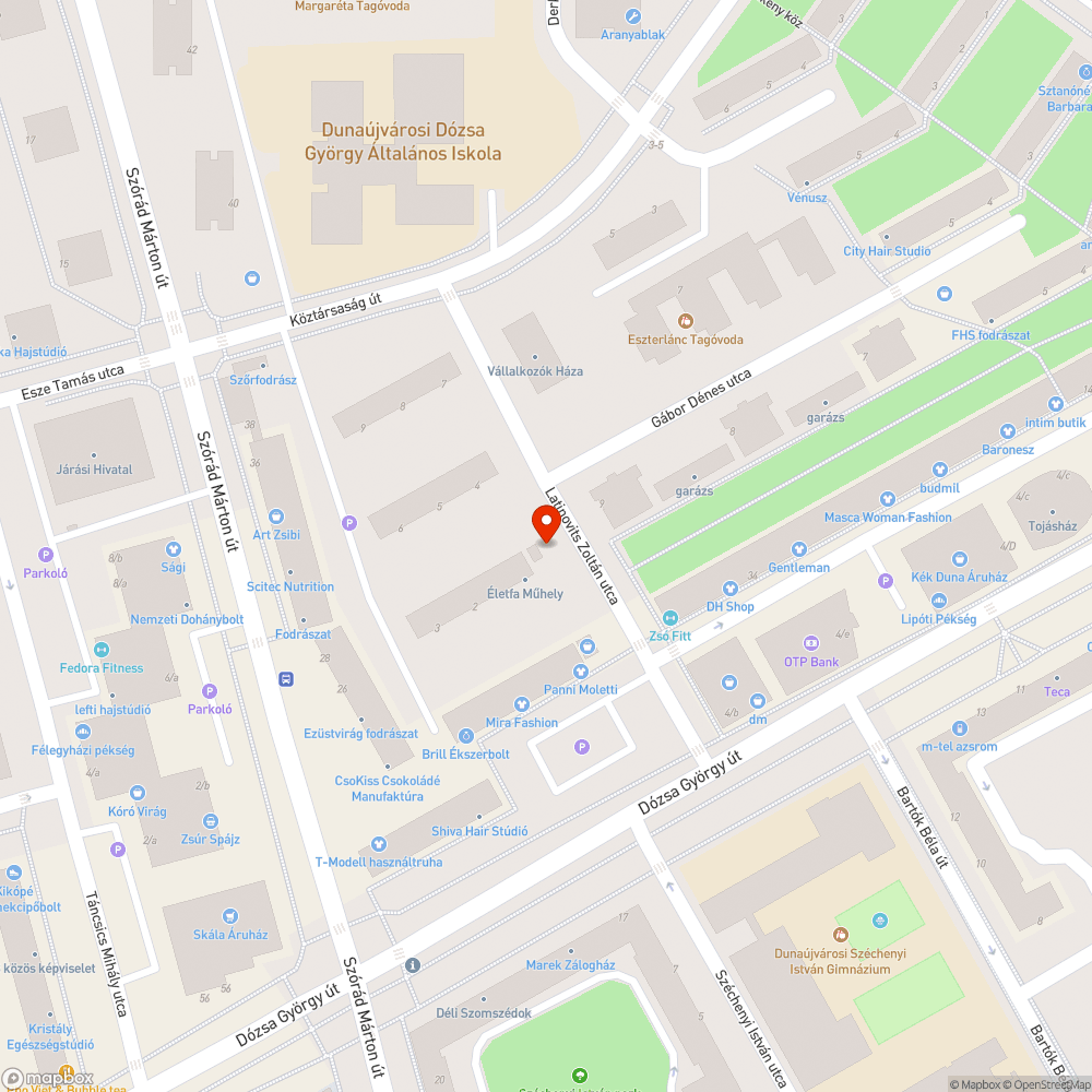 Elhagyott üzlethelyiségben elszaporodott patkányok bejelentés helye