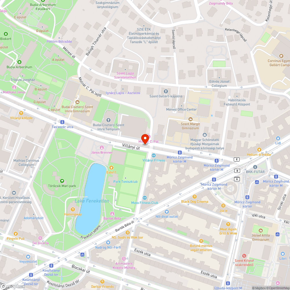 Üres fahely bejelentés helye