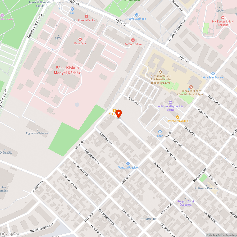 Eltömődött víznyelő bejelentés helye