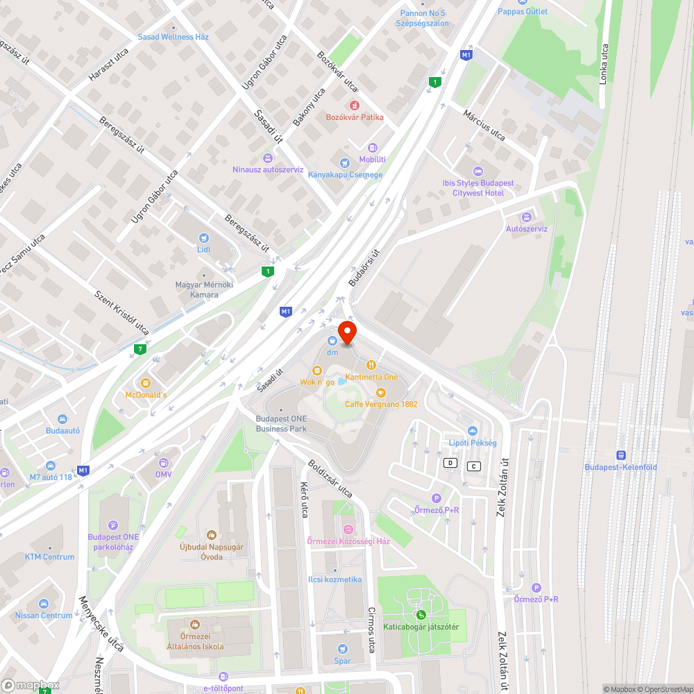 Patkányok a Kelenföldi pályaudvar környékén bejelentés helye