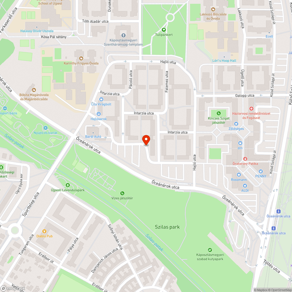 Állandóan a gyalogos átjáróban parkoló autók bejelentés helye