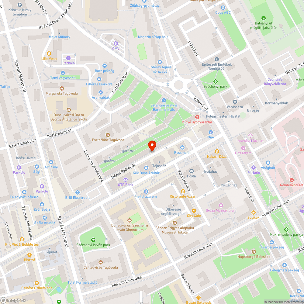 Dunaújváros belváros köztisztasági probléma bejelentés helye