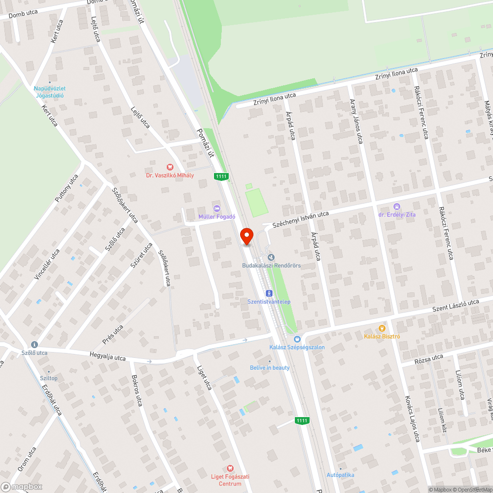 Gyorshajtás a zebrán bejelentés helye