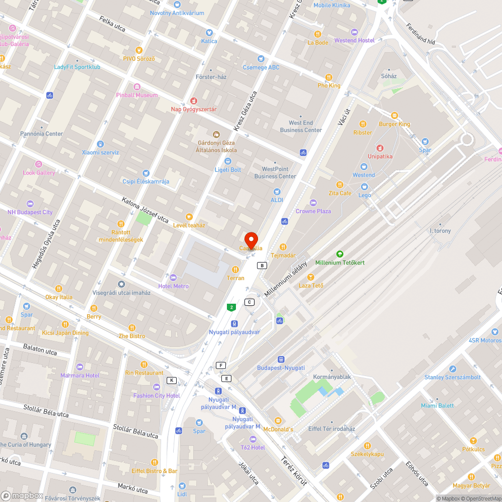 Ottfelejtett levágott faágak - Katona J. bejelentés helye