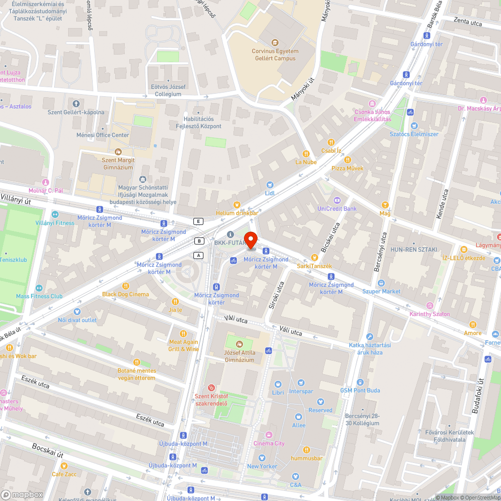 Elkopott felfestes bejelentés helye