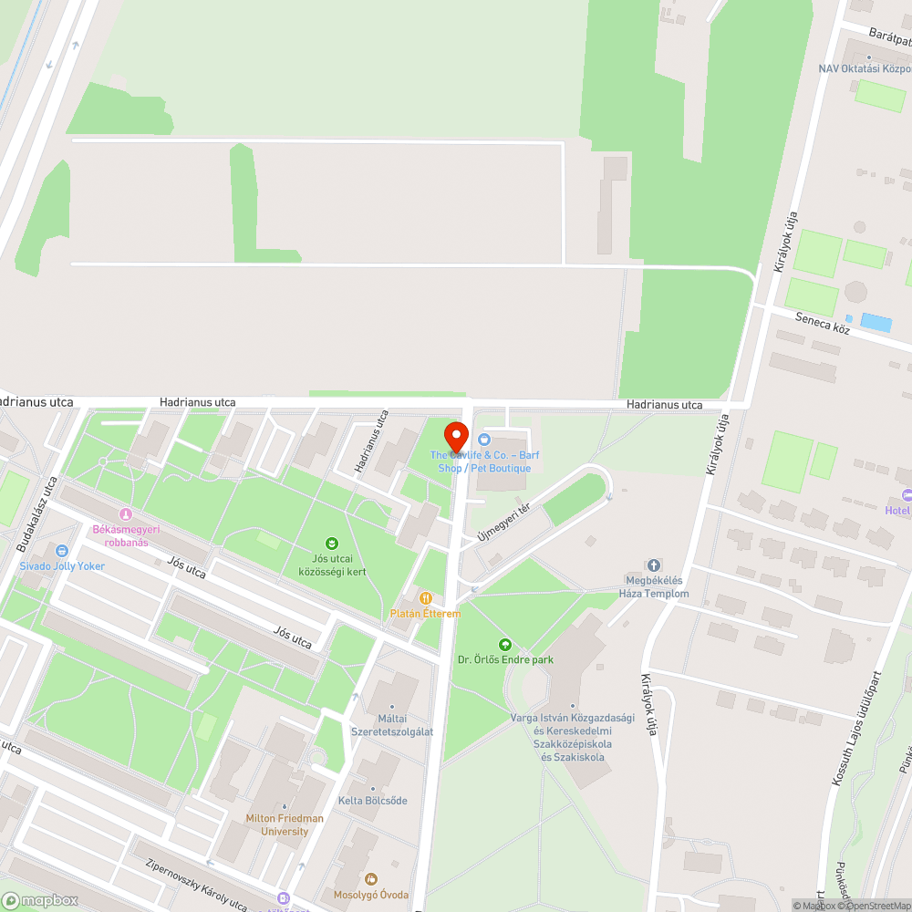 Rengeteg a falevél a járdán bejelentés helye