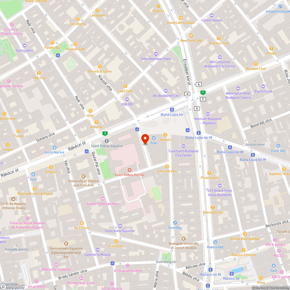 Szennyezett utca bejelentés helye