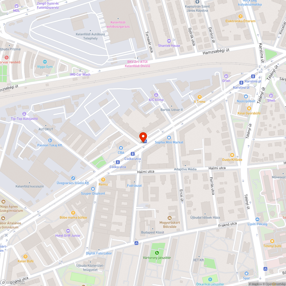 Sár és falevél MOL BUBI tárolóban bejelentés helye