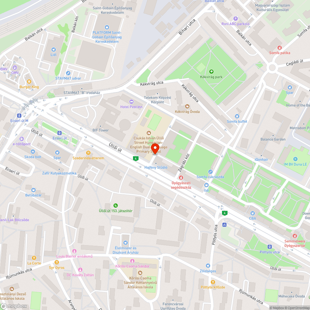 Kerékpársávban felhalmozódott falevelek bejelentés helye