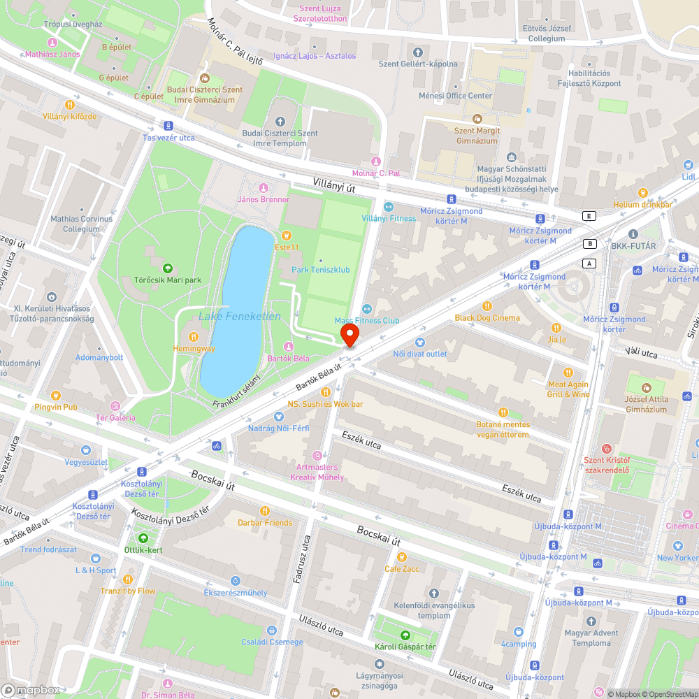 Elkopott zebra bejelentés helye