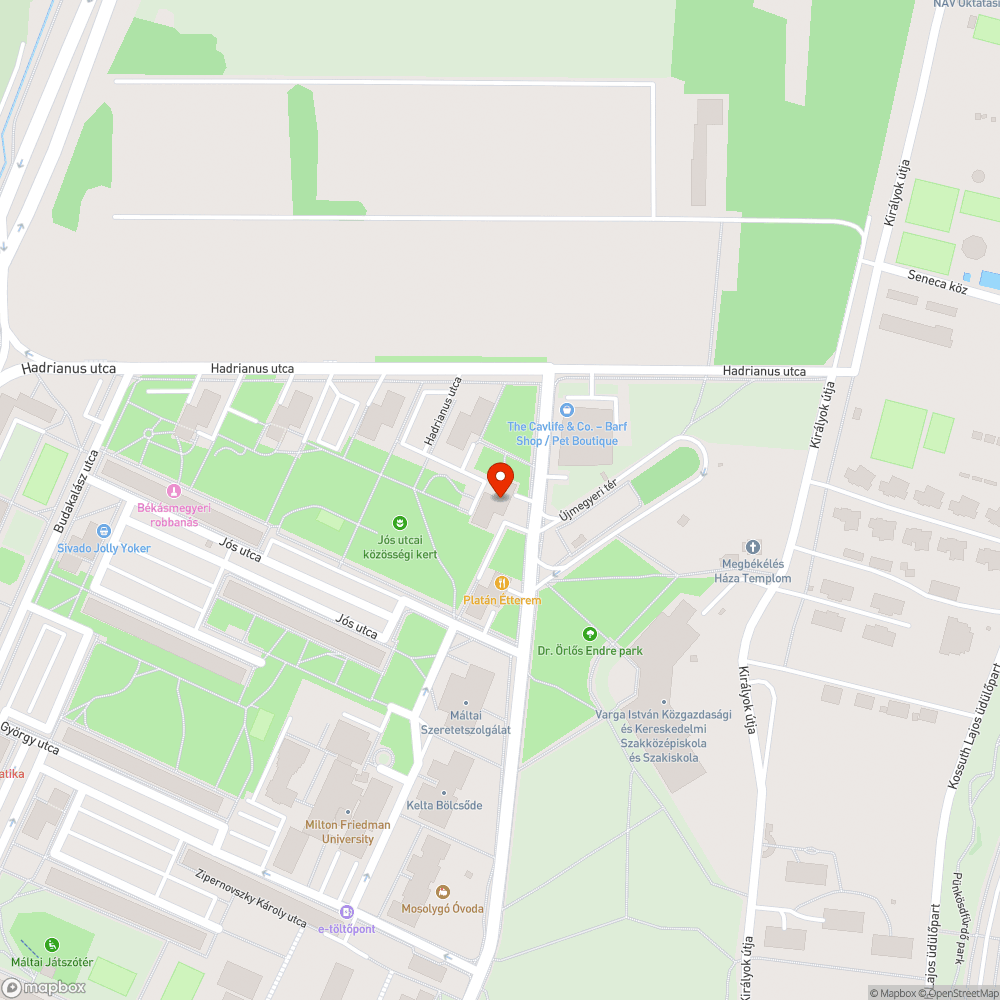 Sorozatos a szabálytalan parkolás bejelentés helye