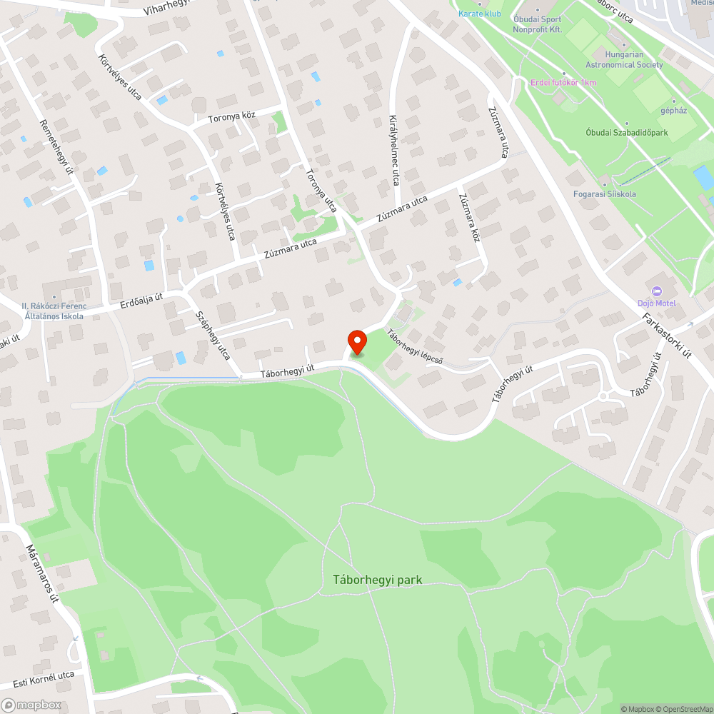 Elburjánzott gaz a járdán - Táborhegyi bejelentés helye