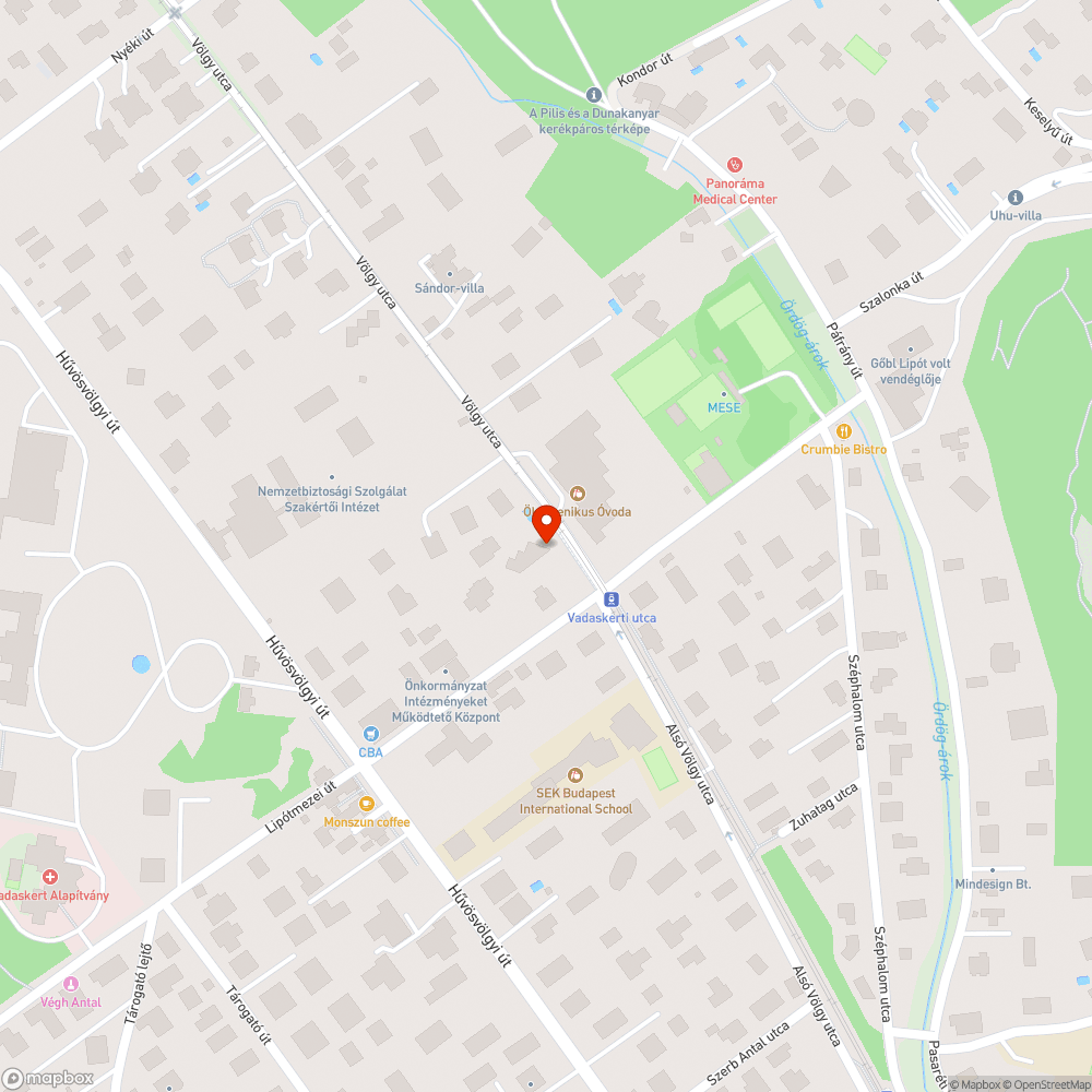 Leszakadt faágat tart a villamos felsővezetéke bejelentés helye