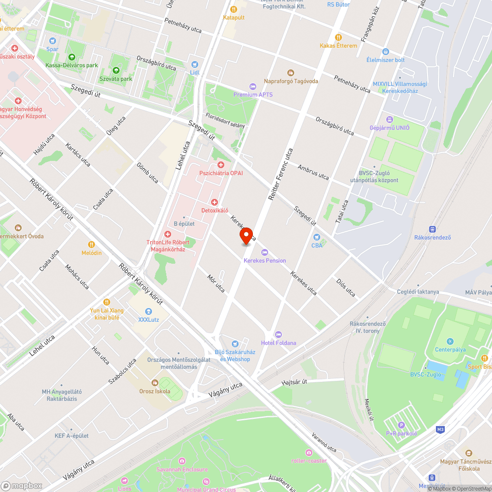 Balesetveszélyes járdaszakasz a Reitter Ferenc utca mentén bejelentés helye