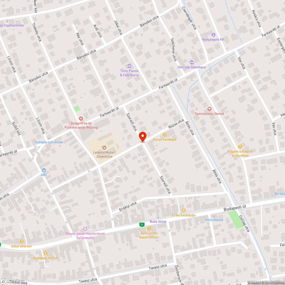 Balesetveszélyes egyenetlenség - Szerelő utca bejelentés helye