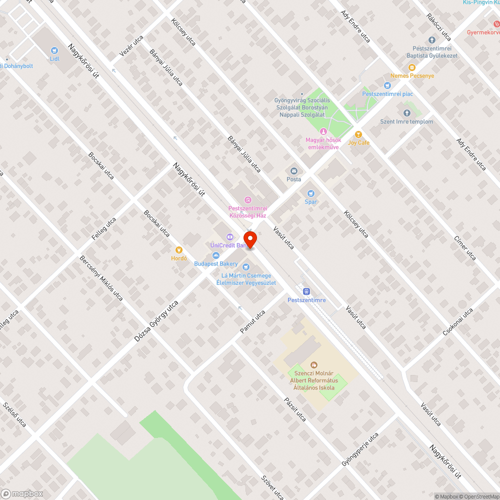 Eldugult víznyelő bejelentés helye