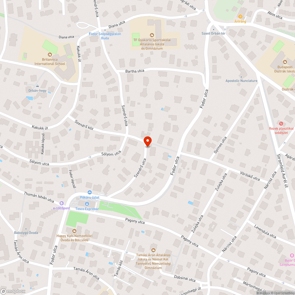 Hiányzó fa bejelentés helye