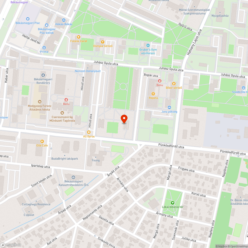 Kiégett két darab neon (hátsó bejárat) bejelentés helye