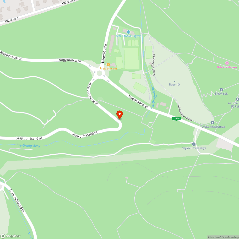 Festékes vödör a Szép Juhászné úton bejelentés helye