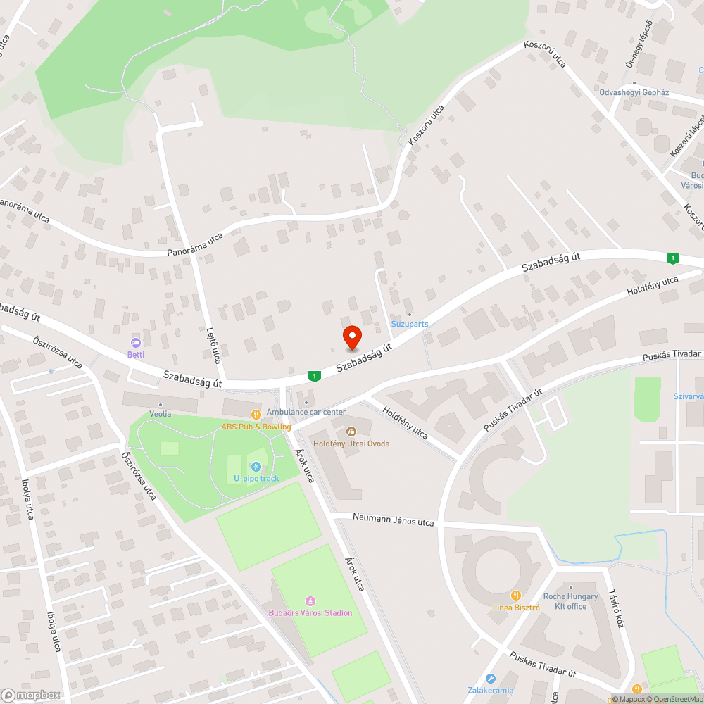 Kátyú a Szabadság út 244-nél bejelentés helye