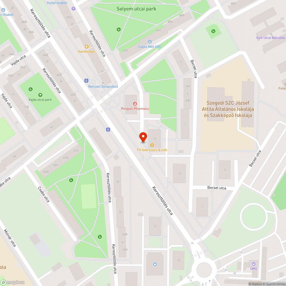 Hatalmas kátyú a járda közepén bejelentés helye