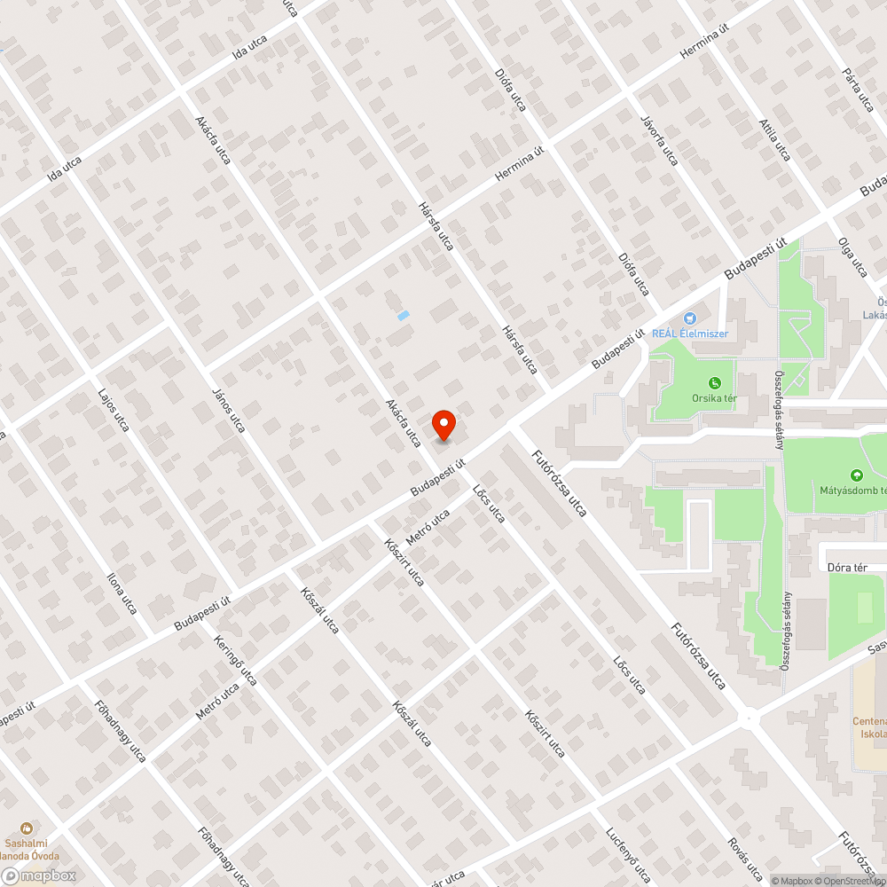 Leszakadt ág - Akácfa u. bejelentés helye