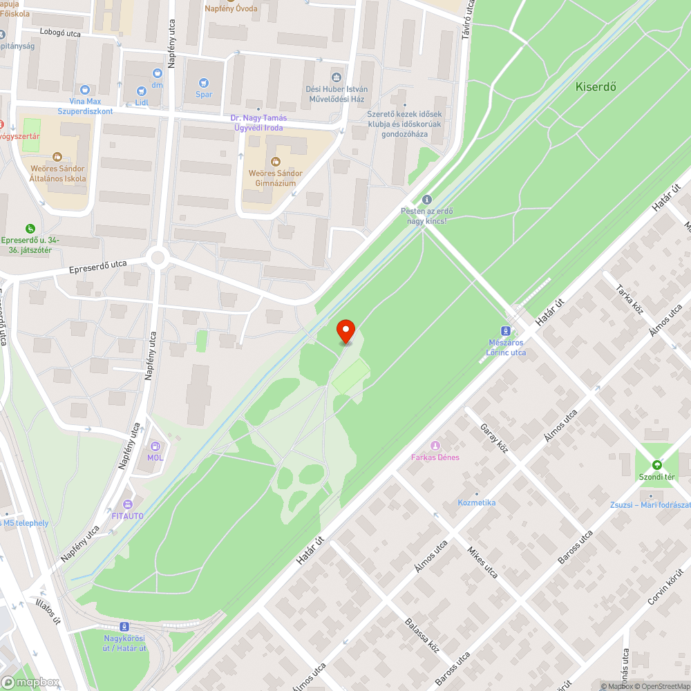 Felújításból származó hulladék az erdőben bejelentés helye