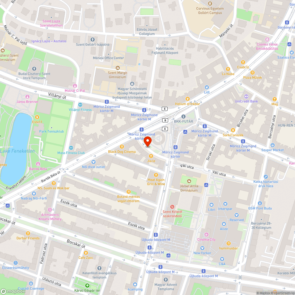 Megsüllyedt macskakő bejelentés helye