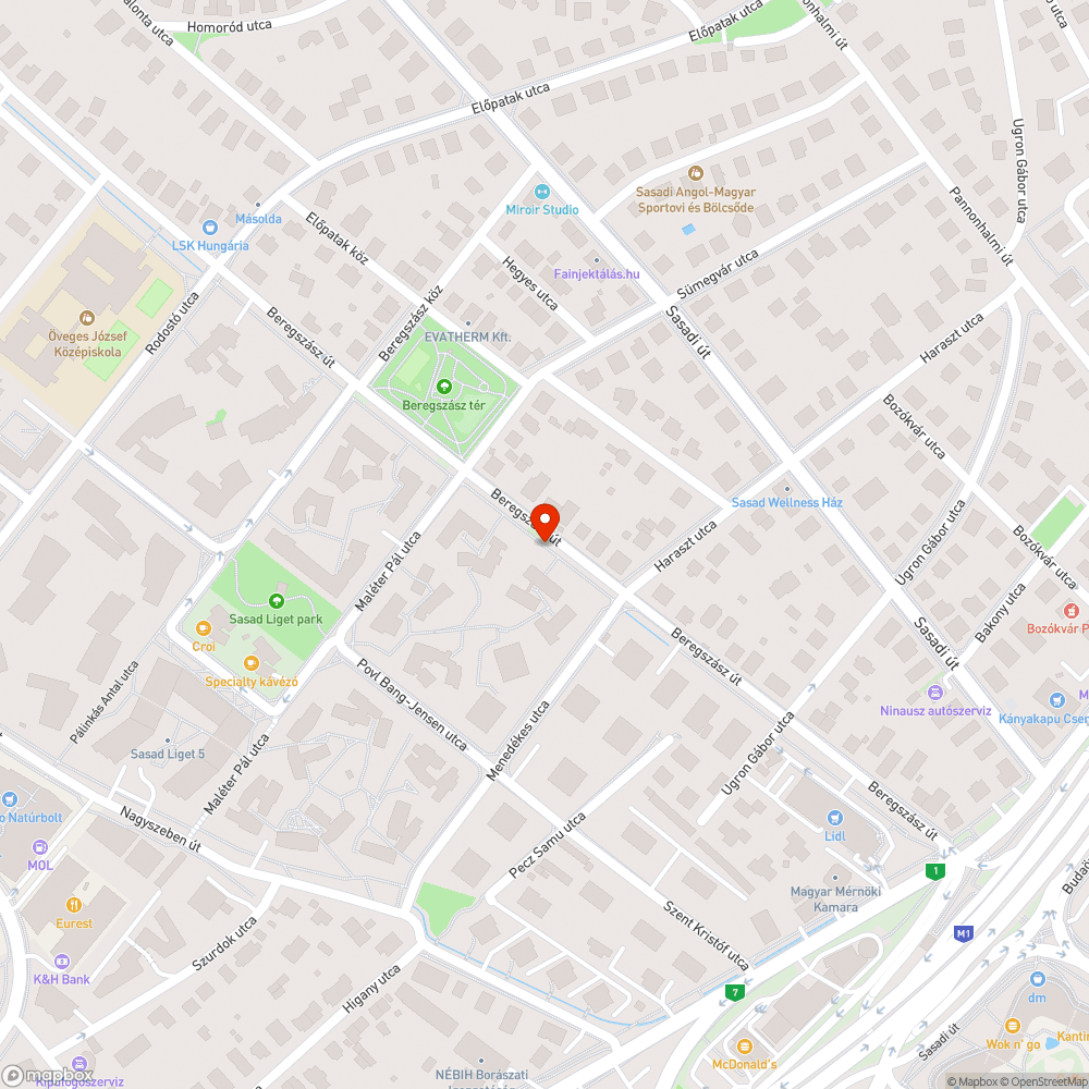 Parkoló autók a Beregszász úton bejelentés helye