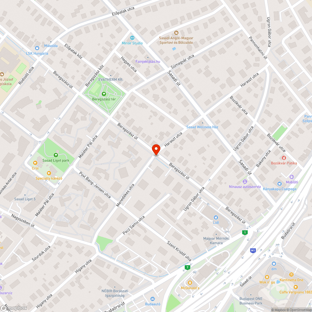 Beregszász - Menedékes parkolás bejelentés helye