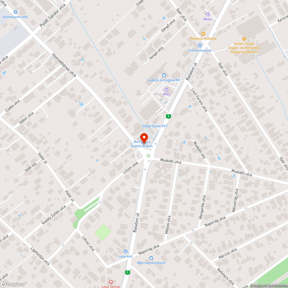 Diósdliget irányító tábla+kidöntött forgalomterelő bejelentés helye