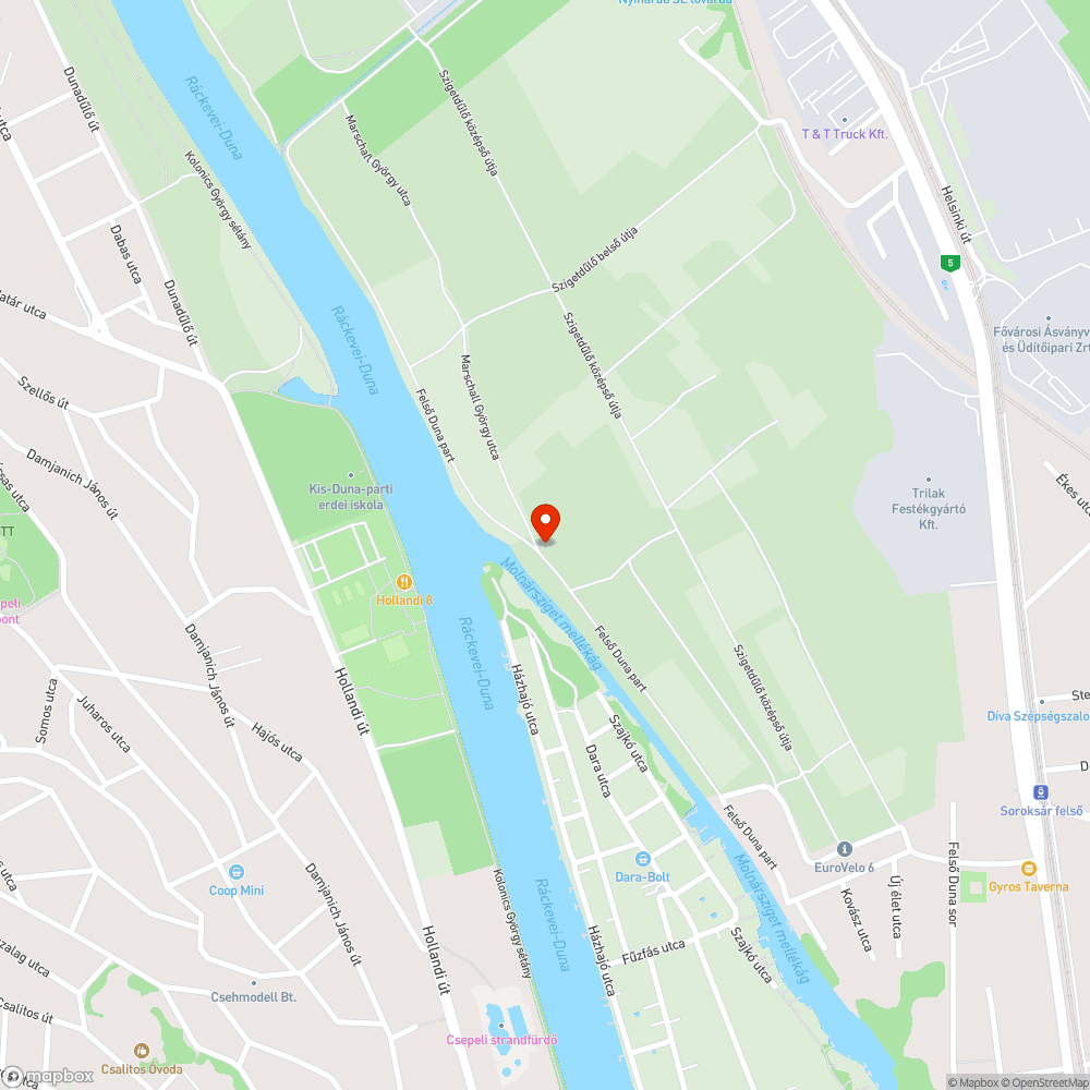 Felgyújtott szeméthalom bejelentés helye