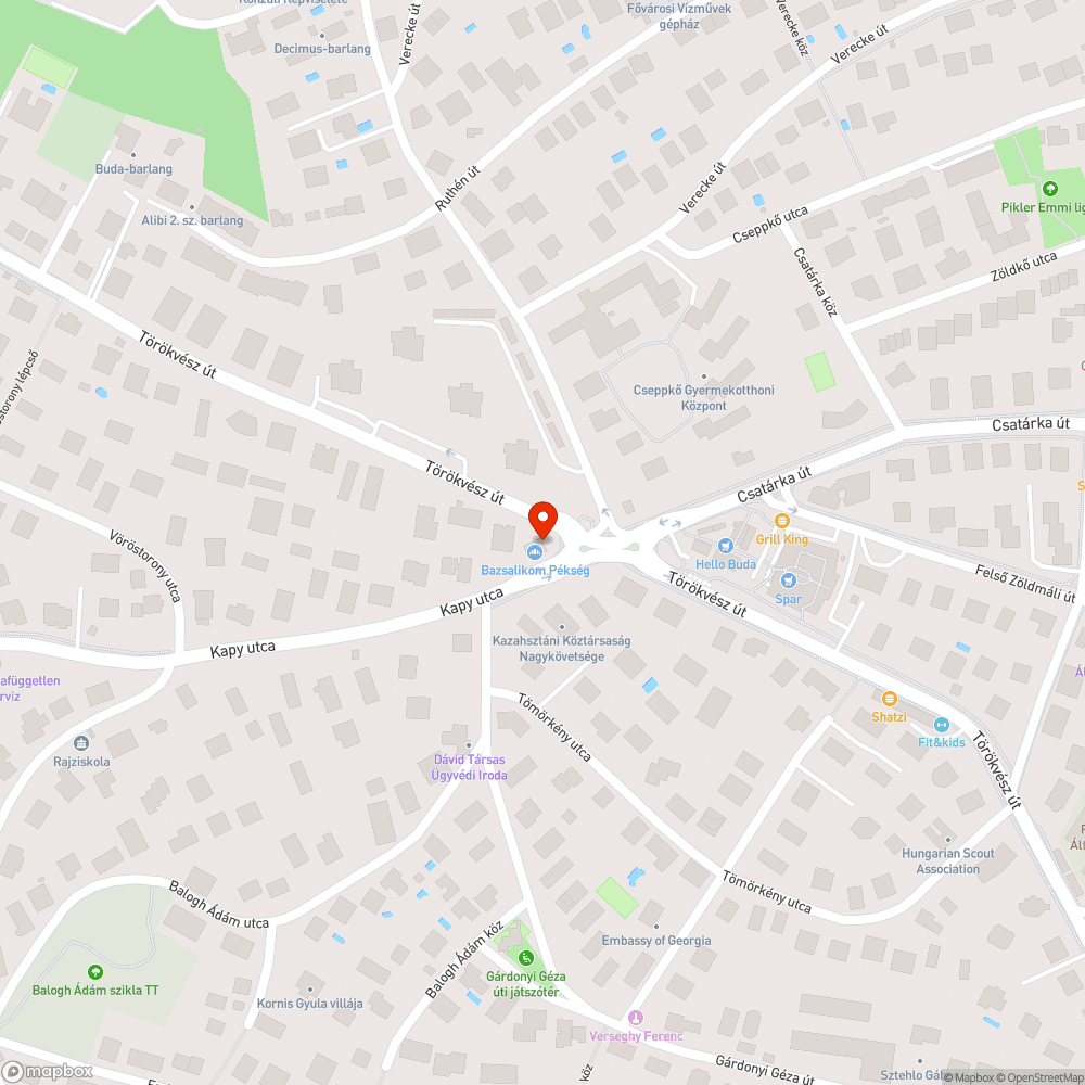 Gyalogos közlekedés és buszmegálló folyamatos akadályozása bejelentés helye