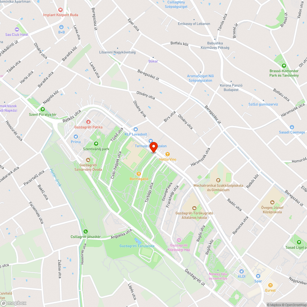 Lejárt műszakijú autó bejelentés helye