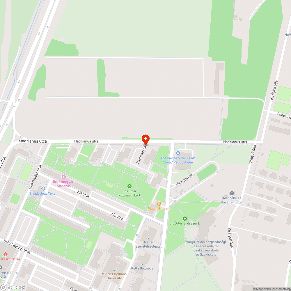 Rendszám nélkül autó szabálytalan helyen várakozik bejelentés helye