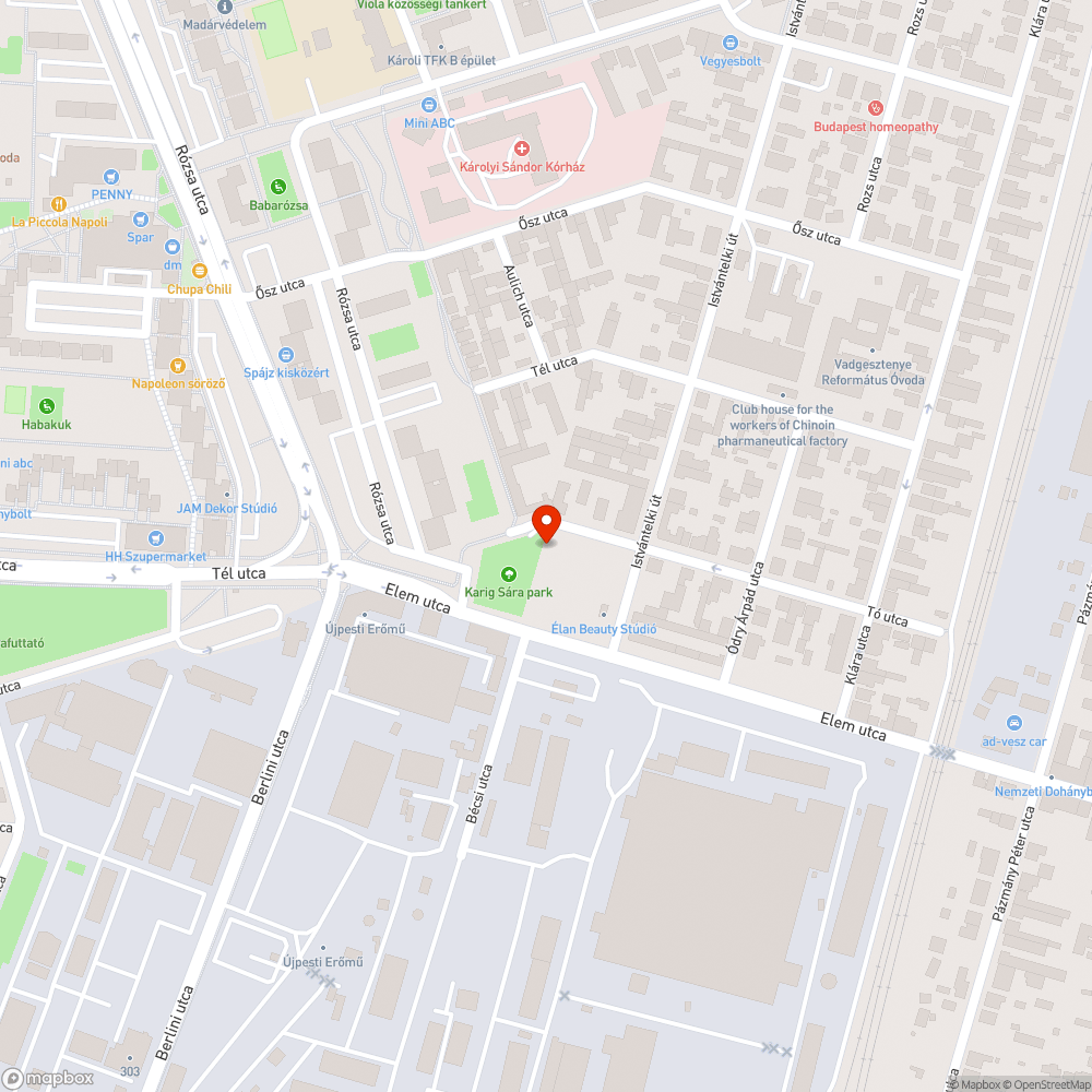 Korhadt, veszélyes fa a főút mentén bejelentés helye