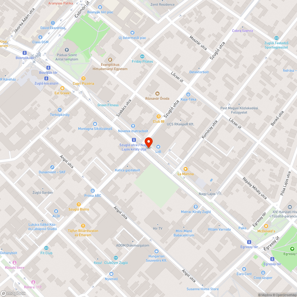 Szemetes a villamosmegálló melletti zöldövezet bejelentés helye